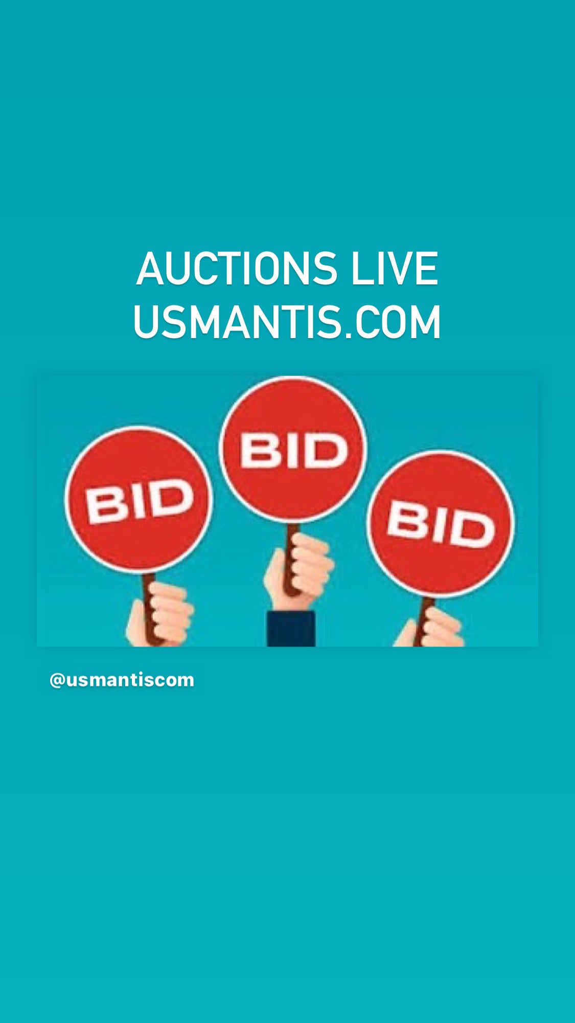 Pending auctions