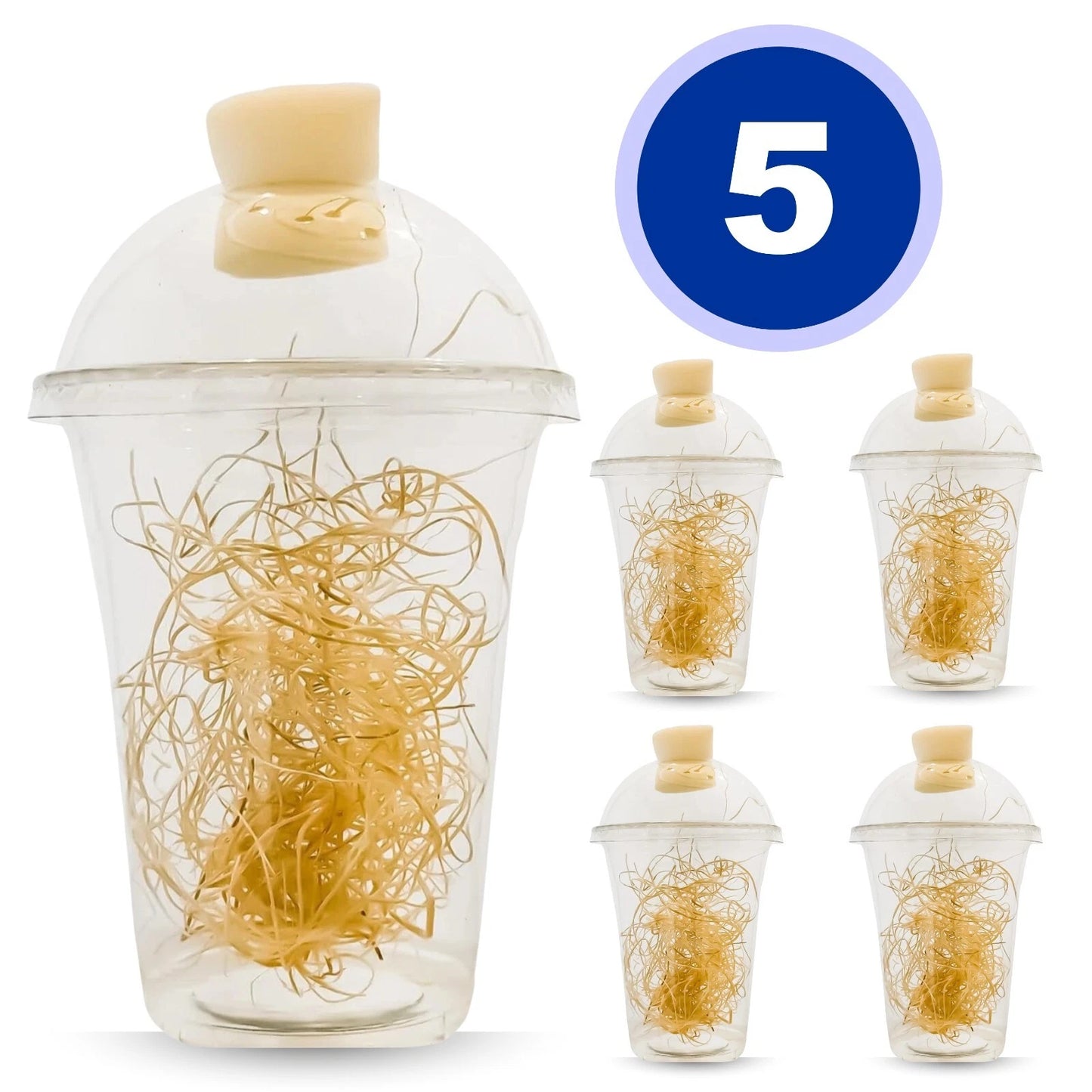Hatching Cups
