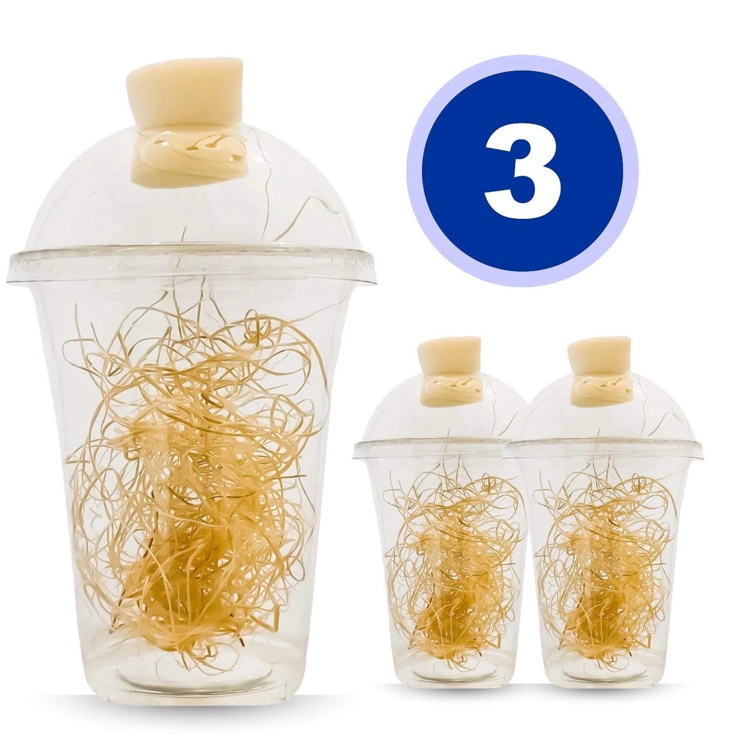 Hatching Cups