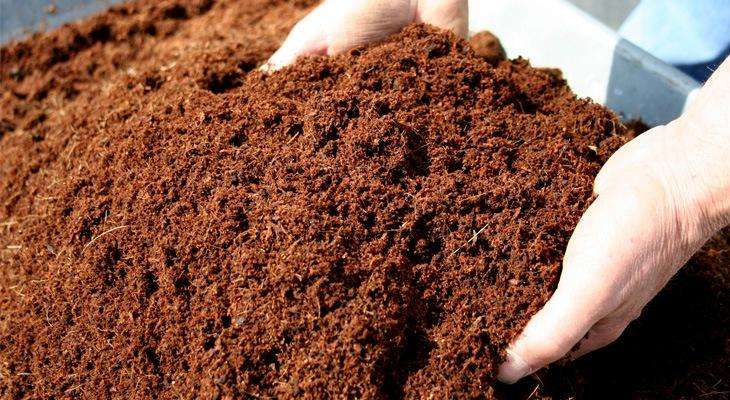 coconut fiber potting mix Coco fiber – USMANTIS