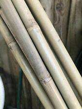 Bamboo Twigs Branches natural grown by us in the USA. Organic - USMANTIS