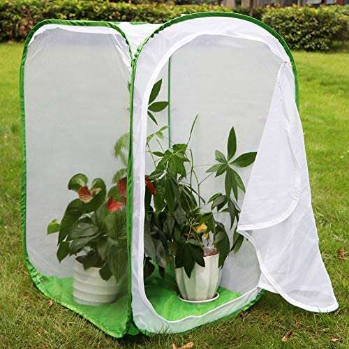 36" Large Collapsible Insect Mesh Cage Terrarium Pop-up 24 x 24 x 36 Inches - USMANTIS