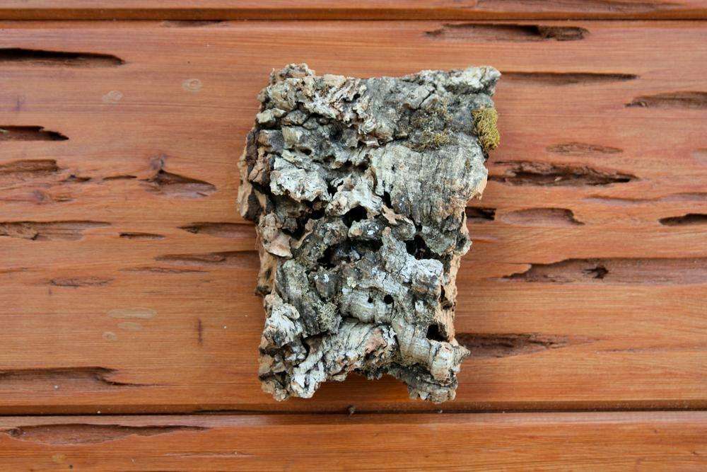 Cork Bark Chunks for Bio-active habitat bioactive organic - USMANTIS