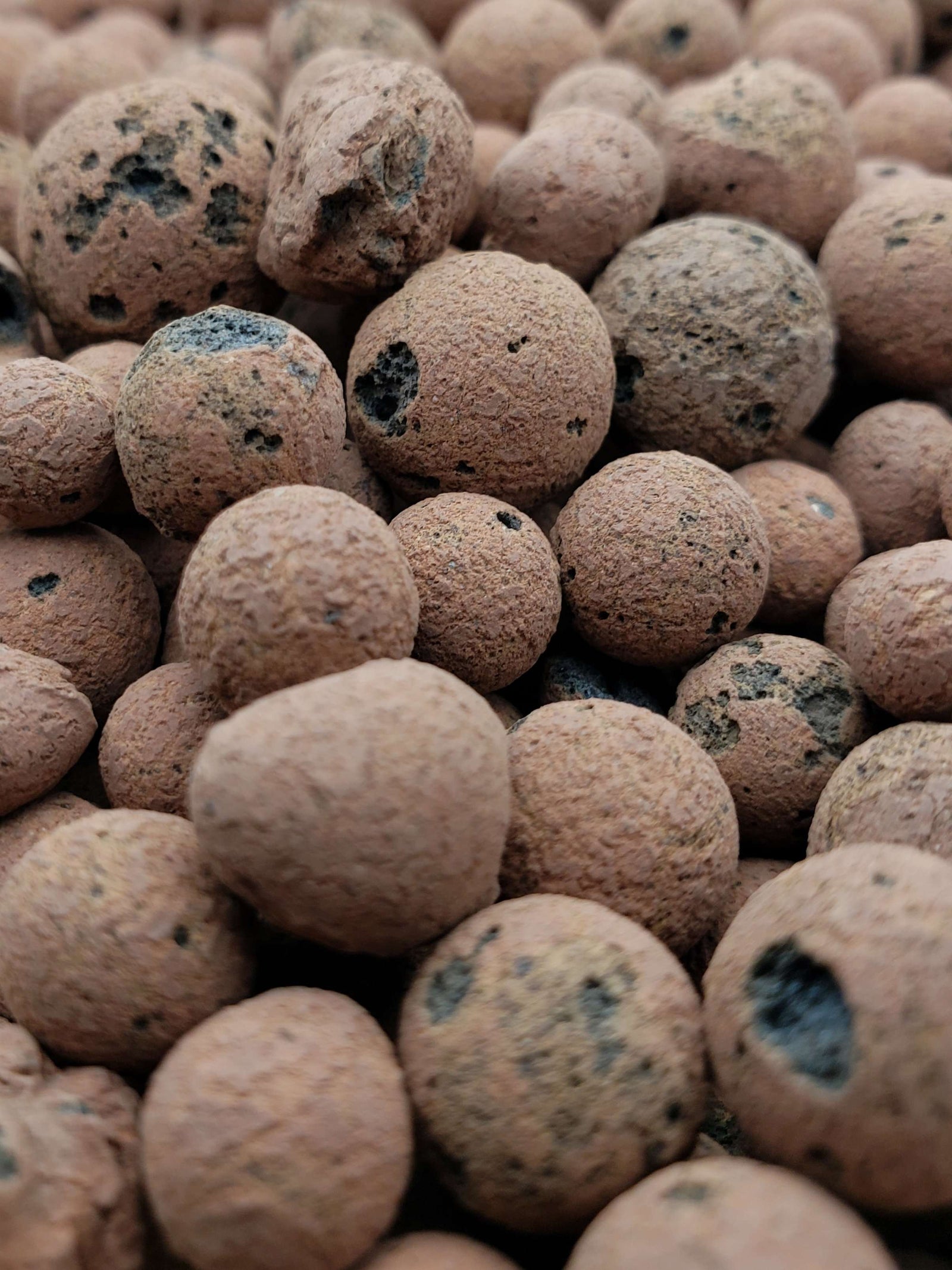 Drainage Layer for Bioactive Vivariums - USMANTIS