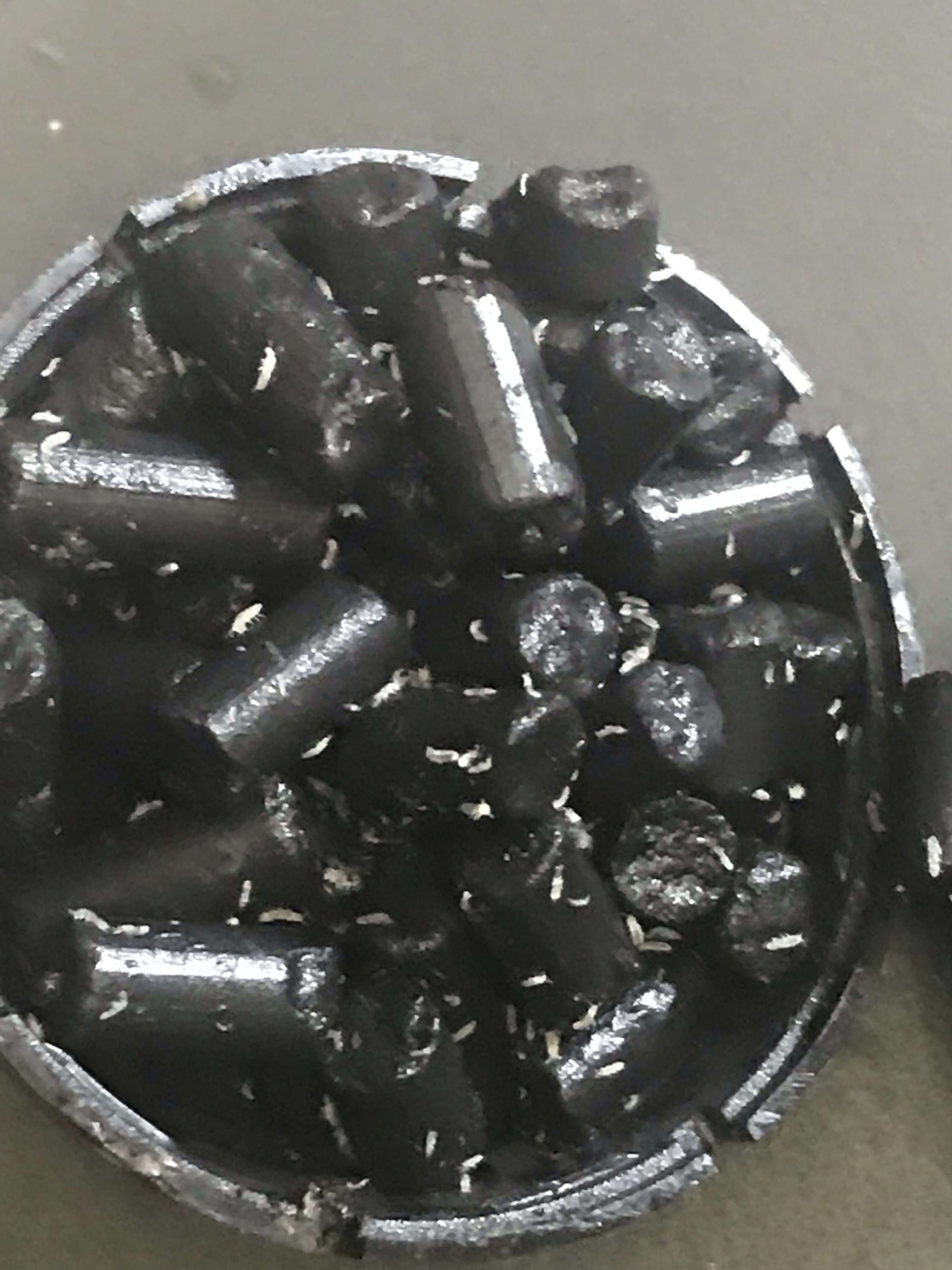 Bioactive Balls Springtail Spawning Spheres NEW PRODUCT bioballs! - USMANTIS