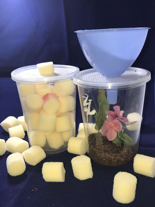 Deli-Cup-feeding 32 ounce cups with vented lids and Plug - USMANTIS