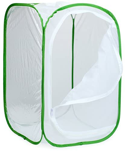 Insect and Butterfly Habitat Cage Terrarium Pop-up 24x24x36 - USMANTIS