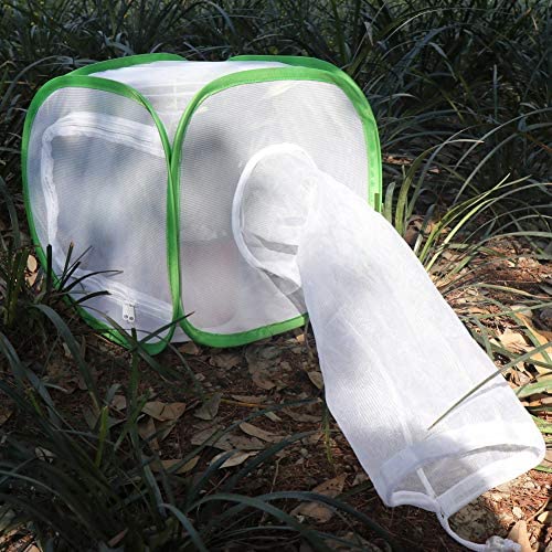 Insect and Butterfly Habitat Cage12 X 12 X 12 With Sleeve - USMANTIS