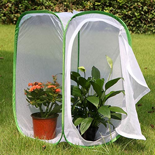 Insect and Butterfly Habitat Cage Terrarium Pop-up 24x24x36 - USMANTIS