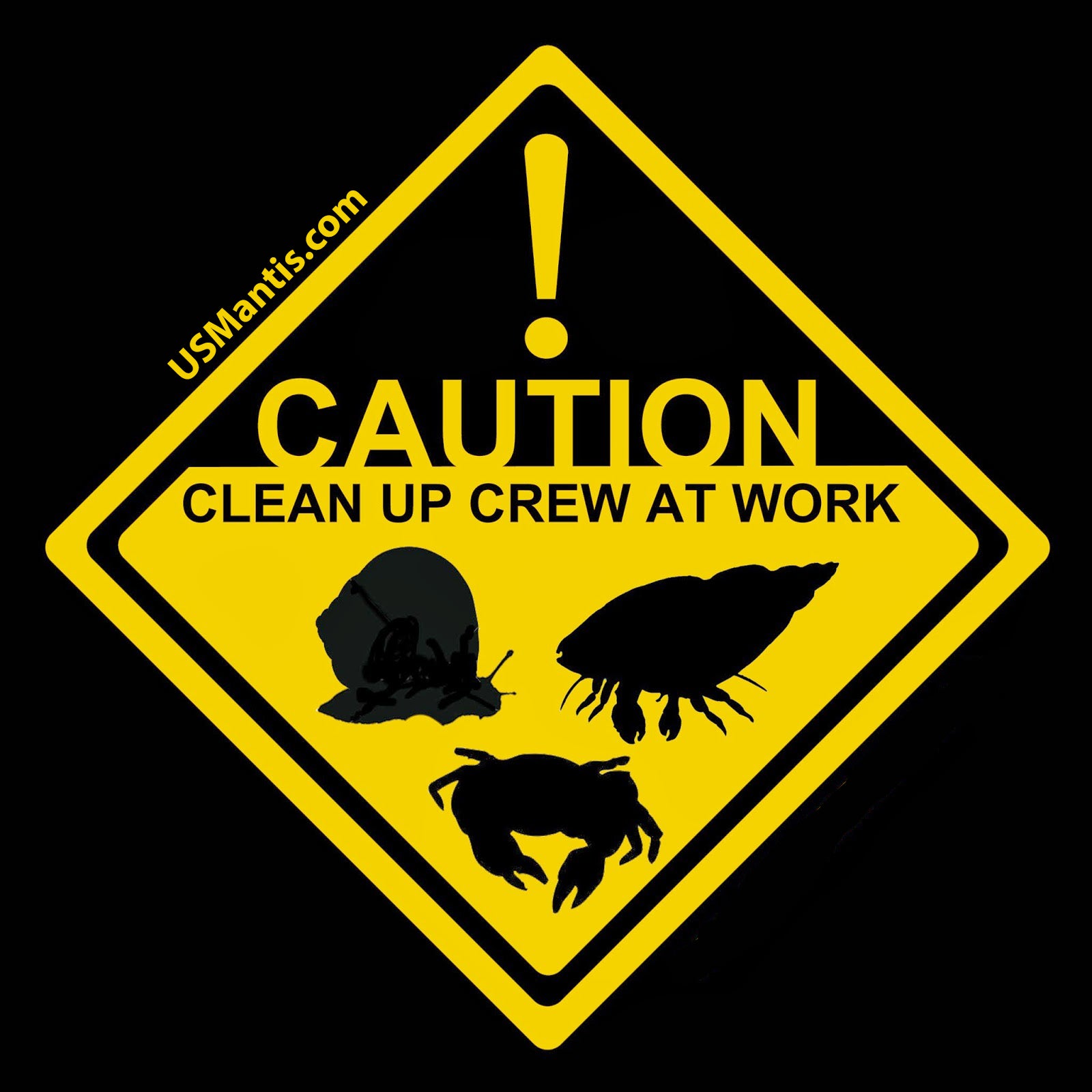 Dwarf Tropical White Isopods (25 ct) + Temperate Springtails (8oz) Bioactive Bundle. - USMANTIS