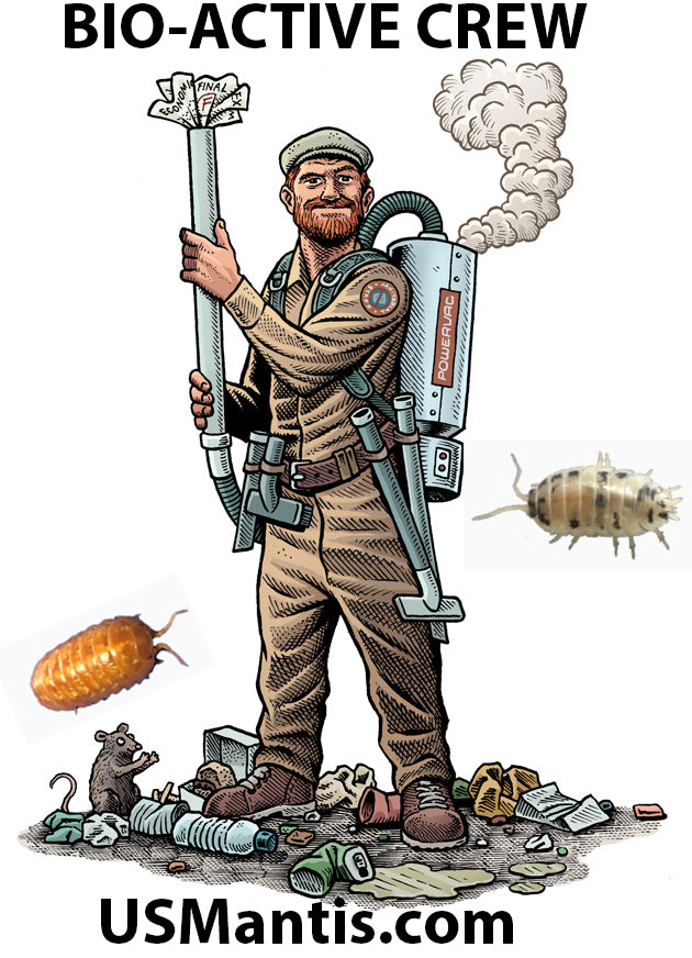 Dwarf Tropical White Isopods (25 ct) + Temperate Springtails (8oz) Bioactive Bundle. - USMANTIS