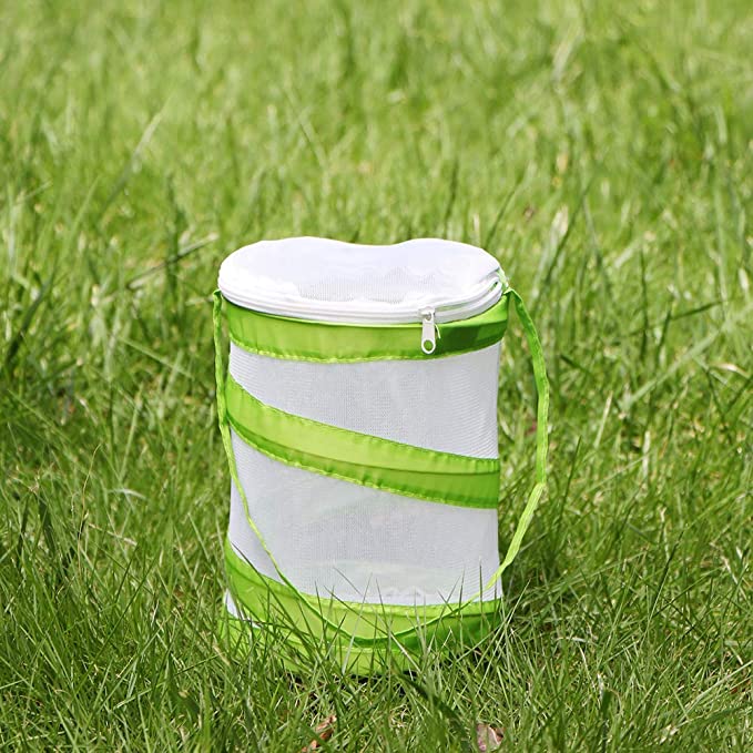 Popup Cage White Green 5" by 6" Mini round for insects. Mantis net cage ooth cage - USMANTIS