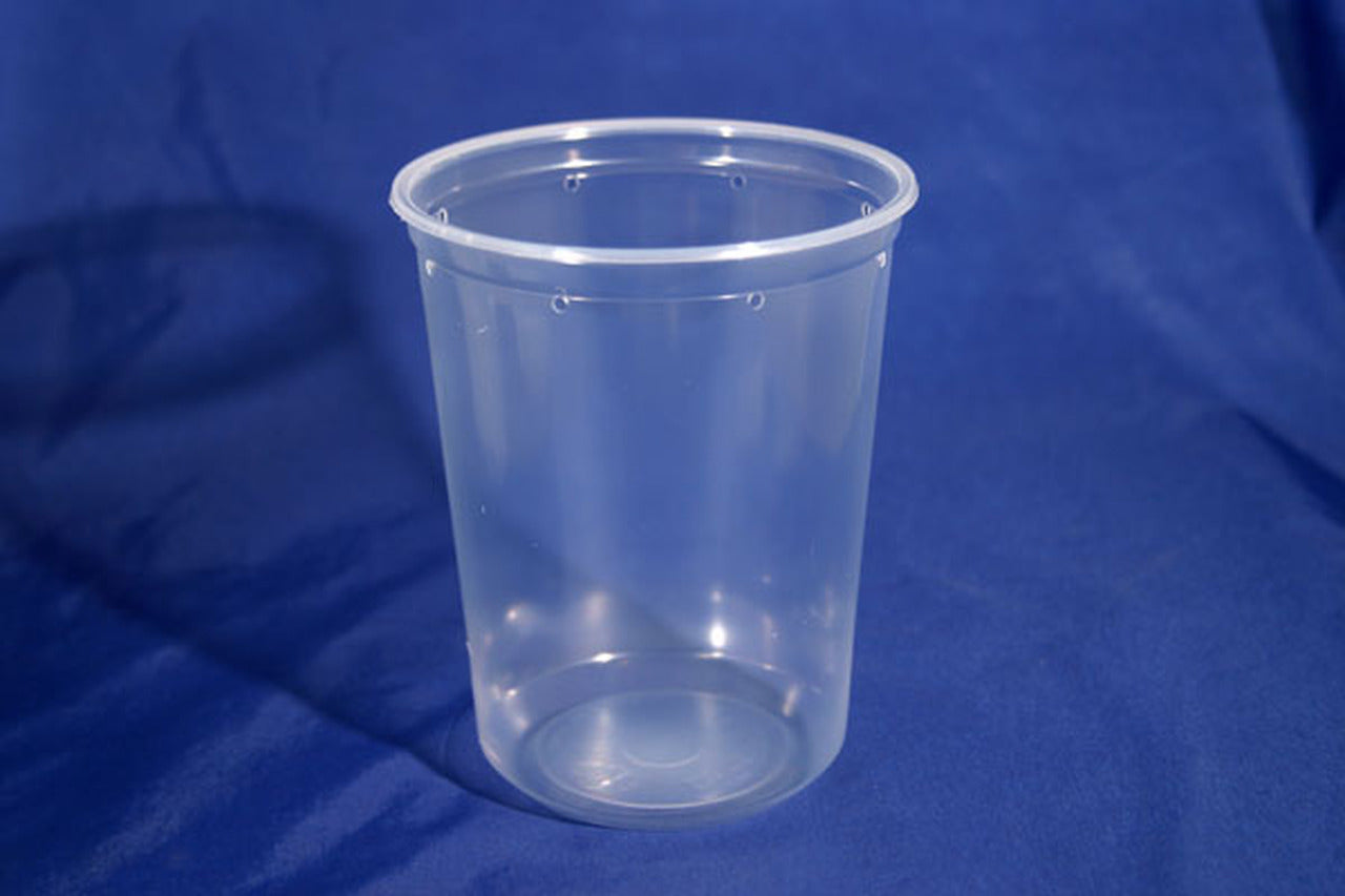 Perforated Deli Cups Insect Culture containers. Plastic (32 oz) NO LID