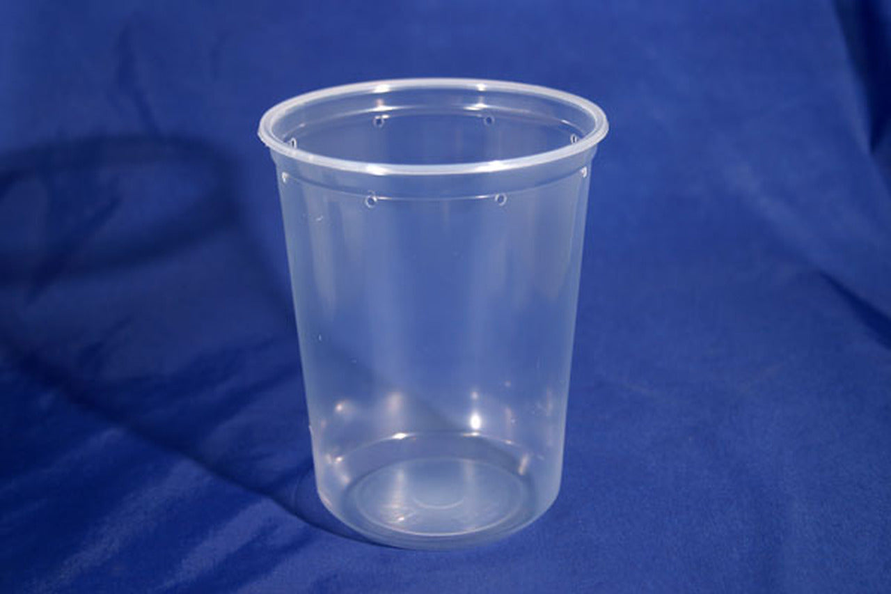 Perforated Deli Cups Insect Culture containers. Plastic (32 oz) NO LIDS - USMANTIS