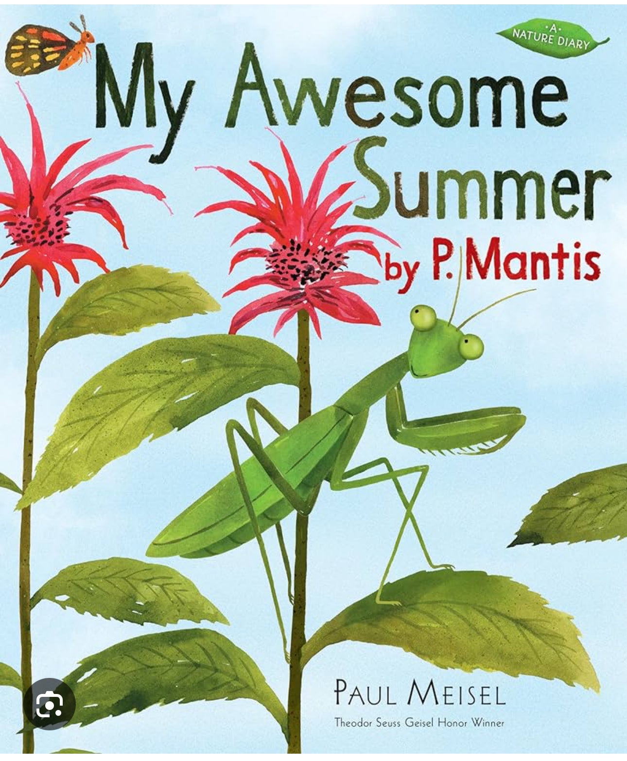 My Awesome Summer by P. Mantis Children’s book