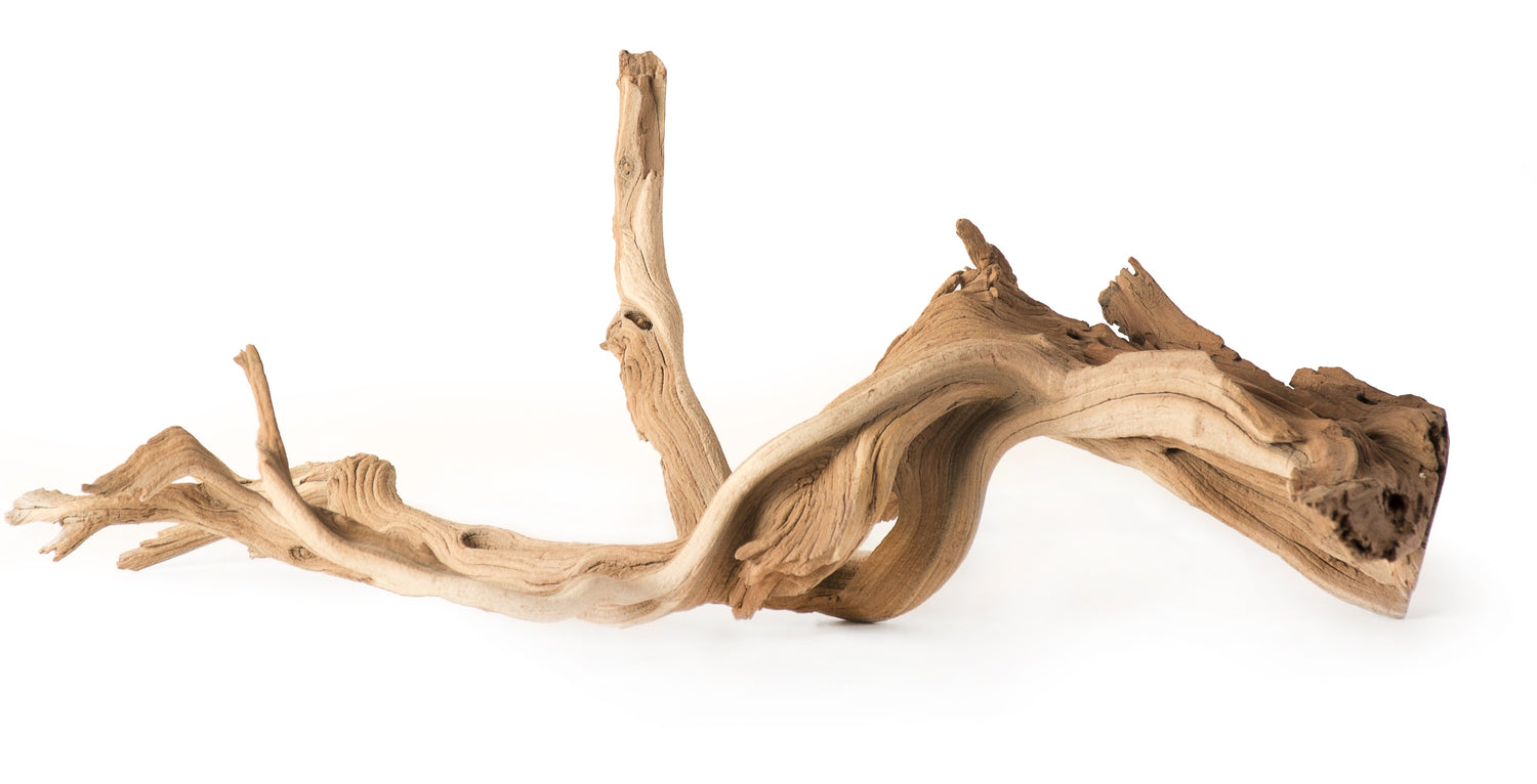 Wood, Bark great Bio active decorations and airplant mount
