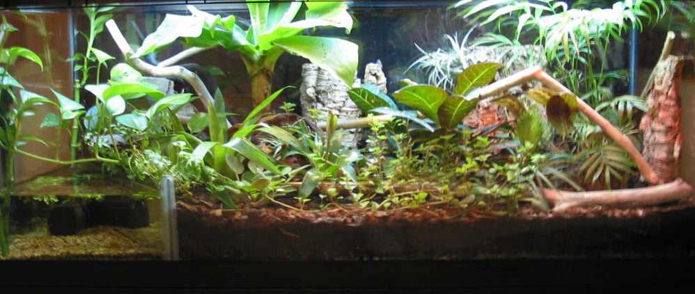 Substrates