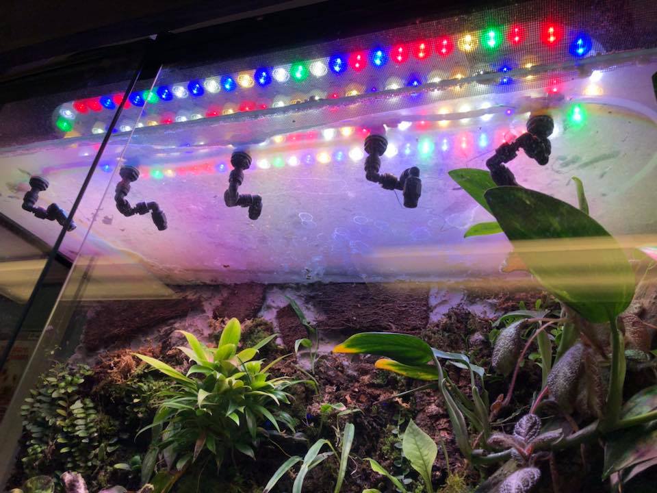 Lighting and Heating