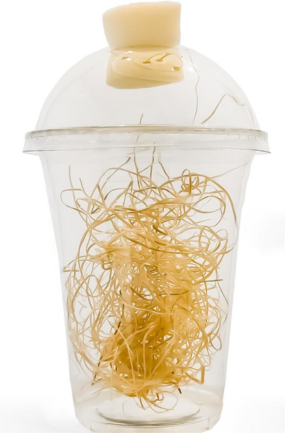 Hatching cup with plug and excelsior - USMANTIS