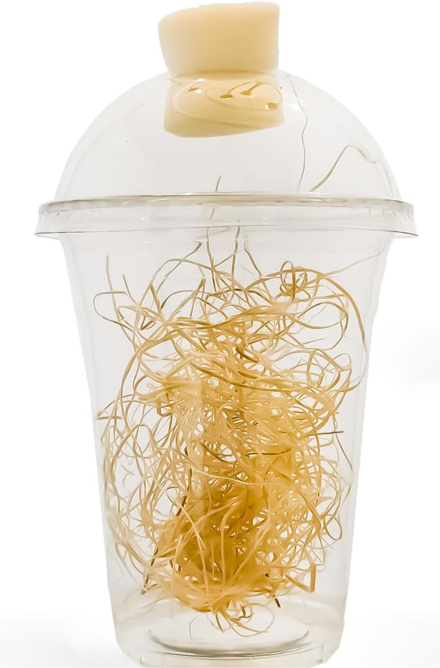 Hatching cup with plug and excelsior