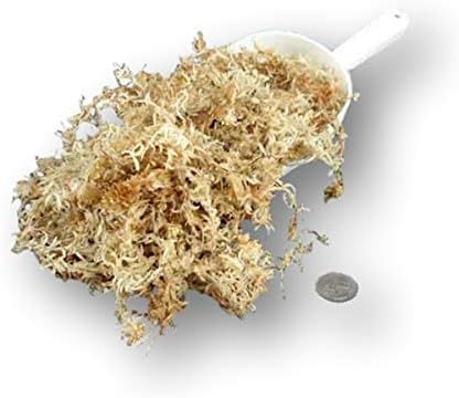 AAA Spagnom Moss-1 gallon - USMANTIS