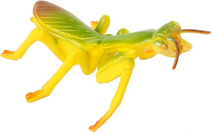 Praying Mantis 4 Piece Life Cycle Figures - 2" Bug Toys - USMANTIS