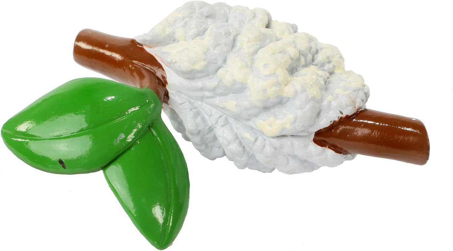 Praying Mantis 4 Piece Life Cycle Figures - 2" Bug Toys - USMANTIS