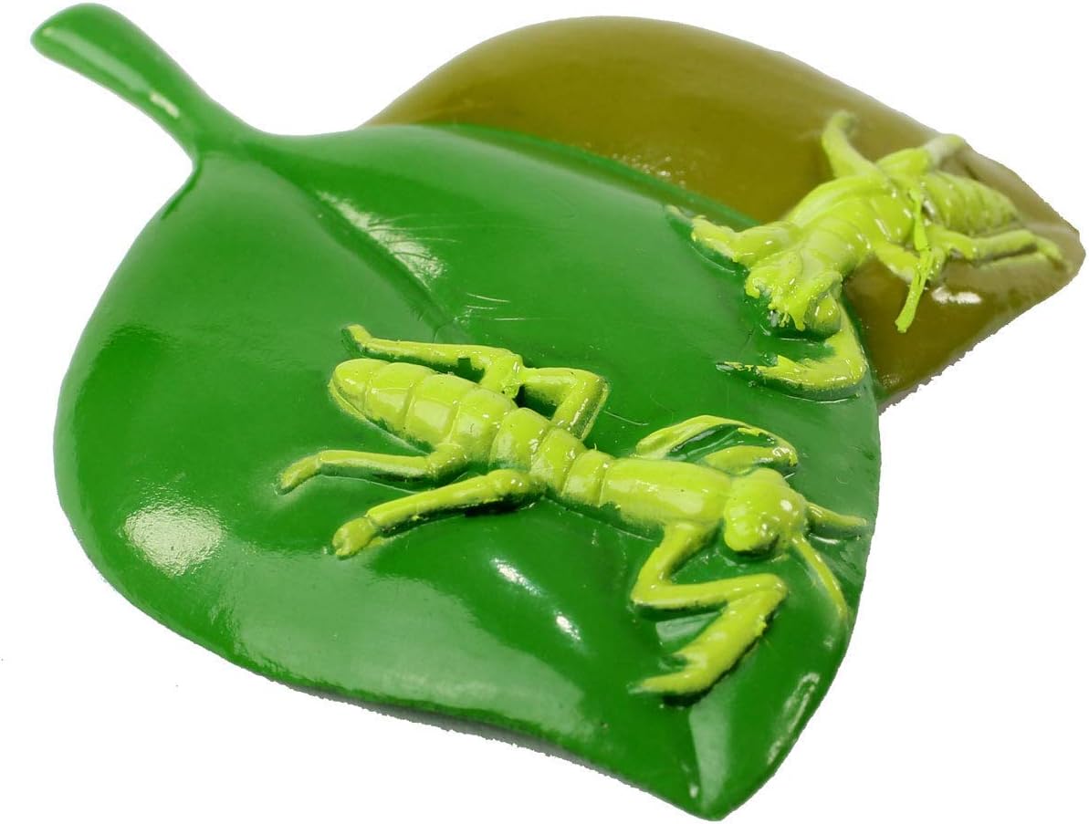 Praying Mantis 4 Piece Life Cycle Figures - 2" Bug Toys - USMANTIS