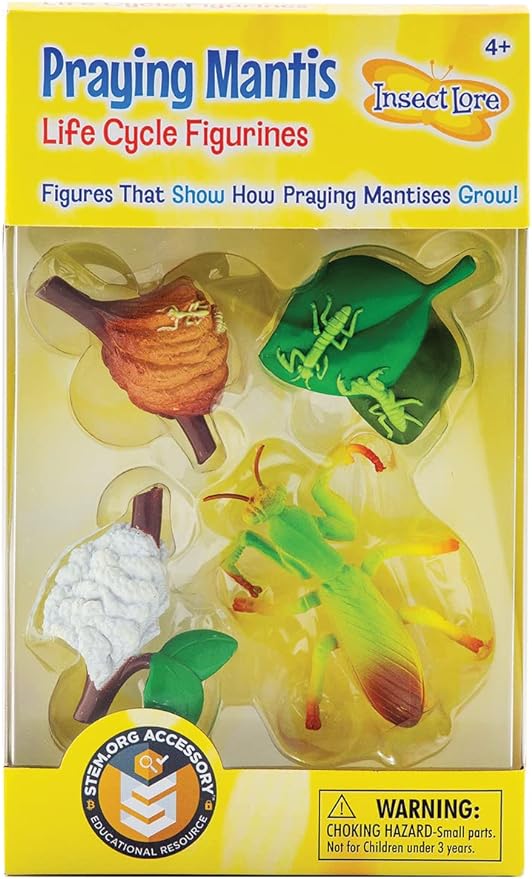 Praying Mantis 4 Piece Life Cycle Figures - 2&quot; Bug Toys - USMANTIS