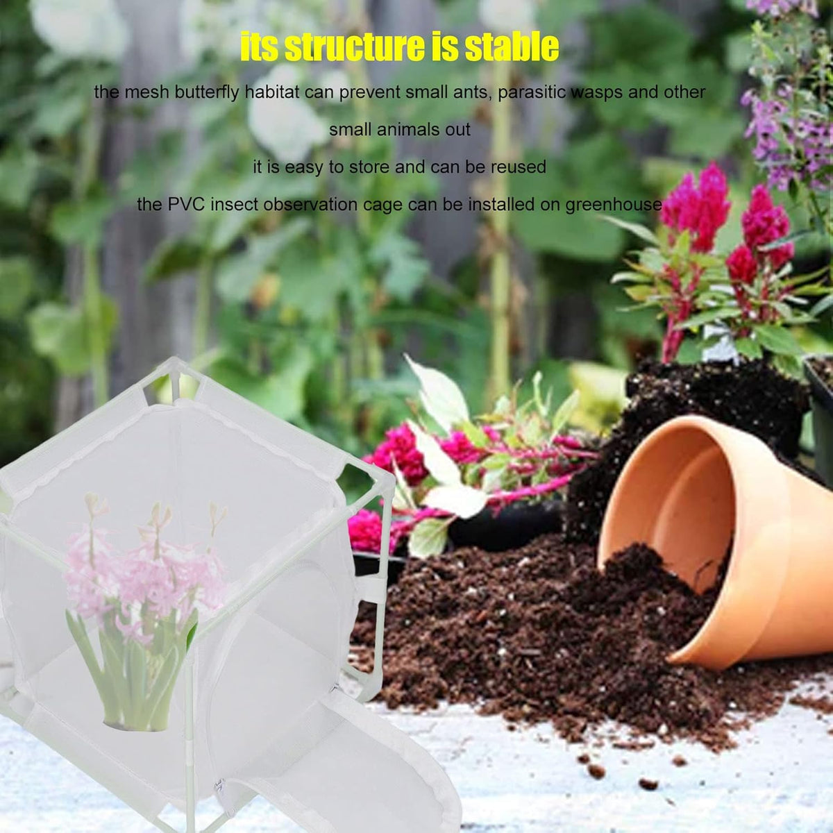 Mini Habitat Cage, PVC Mesh Praying mantis PET BUTTERFLY, SMALL INSECT