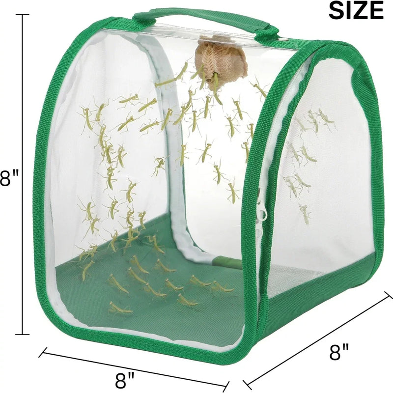 Mantis Habitat, 8" Small Collapsible Insect Mesh Cage Terrarium Pop-up carrier New! $15.00