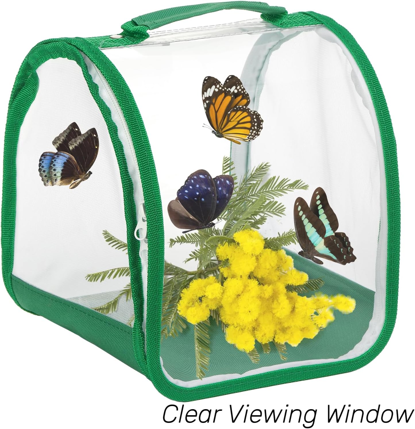 Mantis Habitat, 8" Small Collapsible Insect Mesh Cage Terrarium Pop-up carrier New!