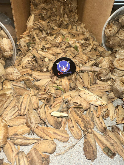 Ooth hatching incubator container praying mantis - USMANTIS