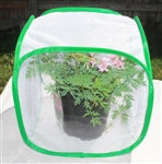 Net cage for praying mantis and butterflies breeding and keeping