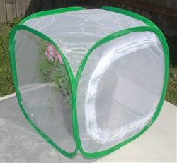 Net cage for praying mantis and butterflies breeding and keeping