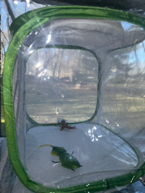 Net Cage Clear Cover Comfort Keeper With Zipper New product! - USMANTIS