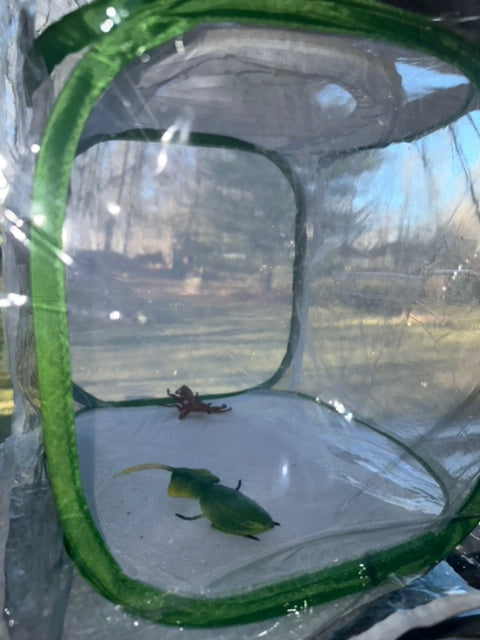 Net Cage Clear Cover Comfort Keeper With Zipper New product! - USMANTIS