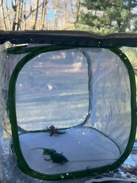 Net Cage Clear Cover Comfort Keeper With Zipper New product! - USMANTIS