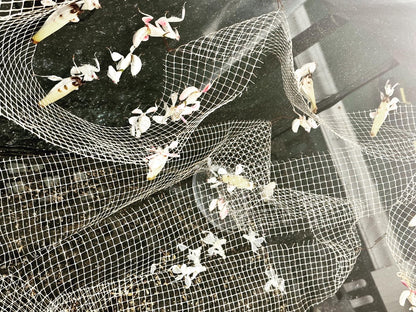 Canopy mesh - USMANTIS