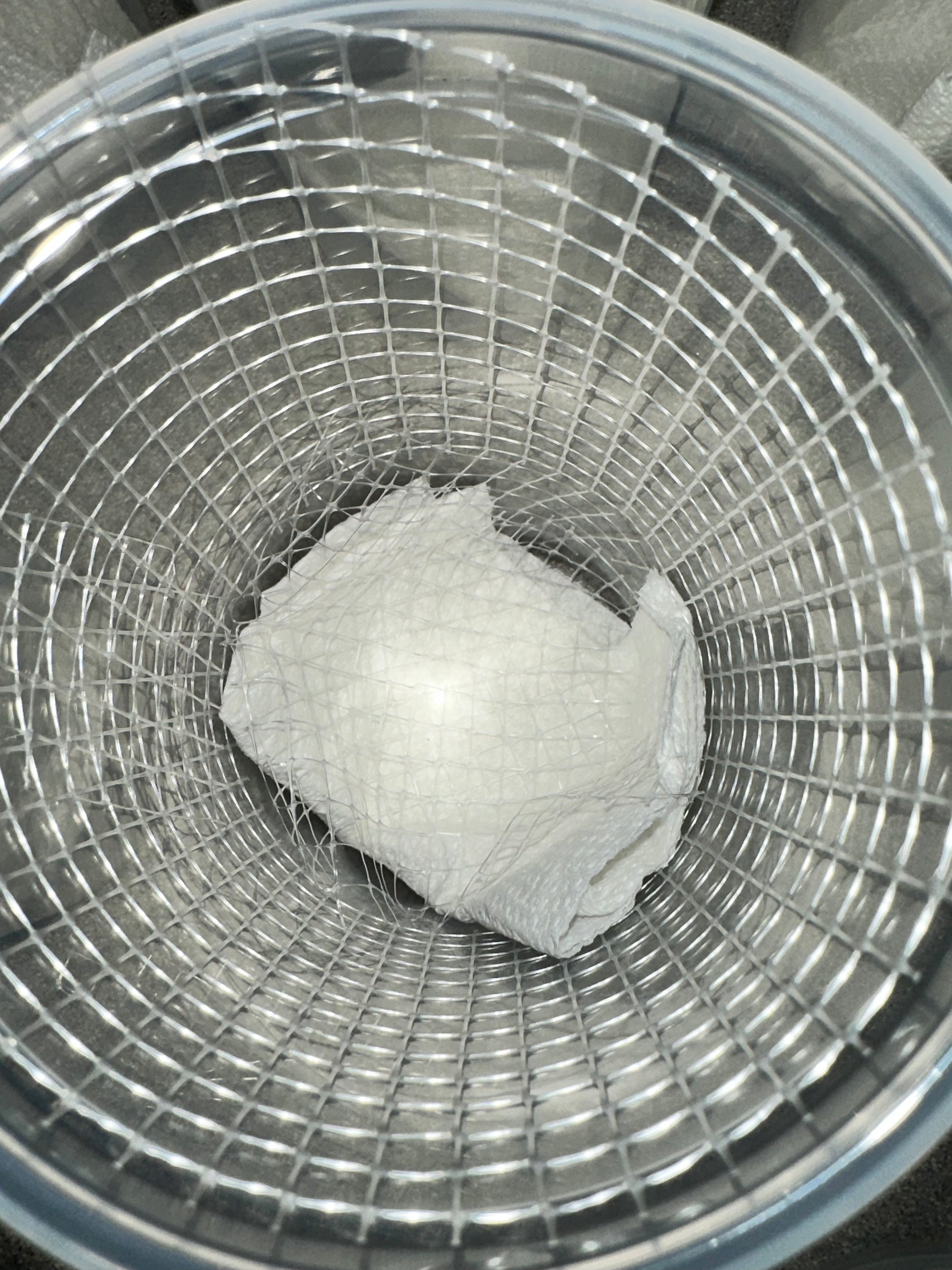 Canopy mesh - USMANTIS