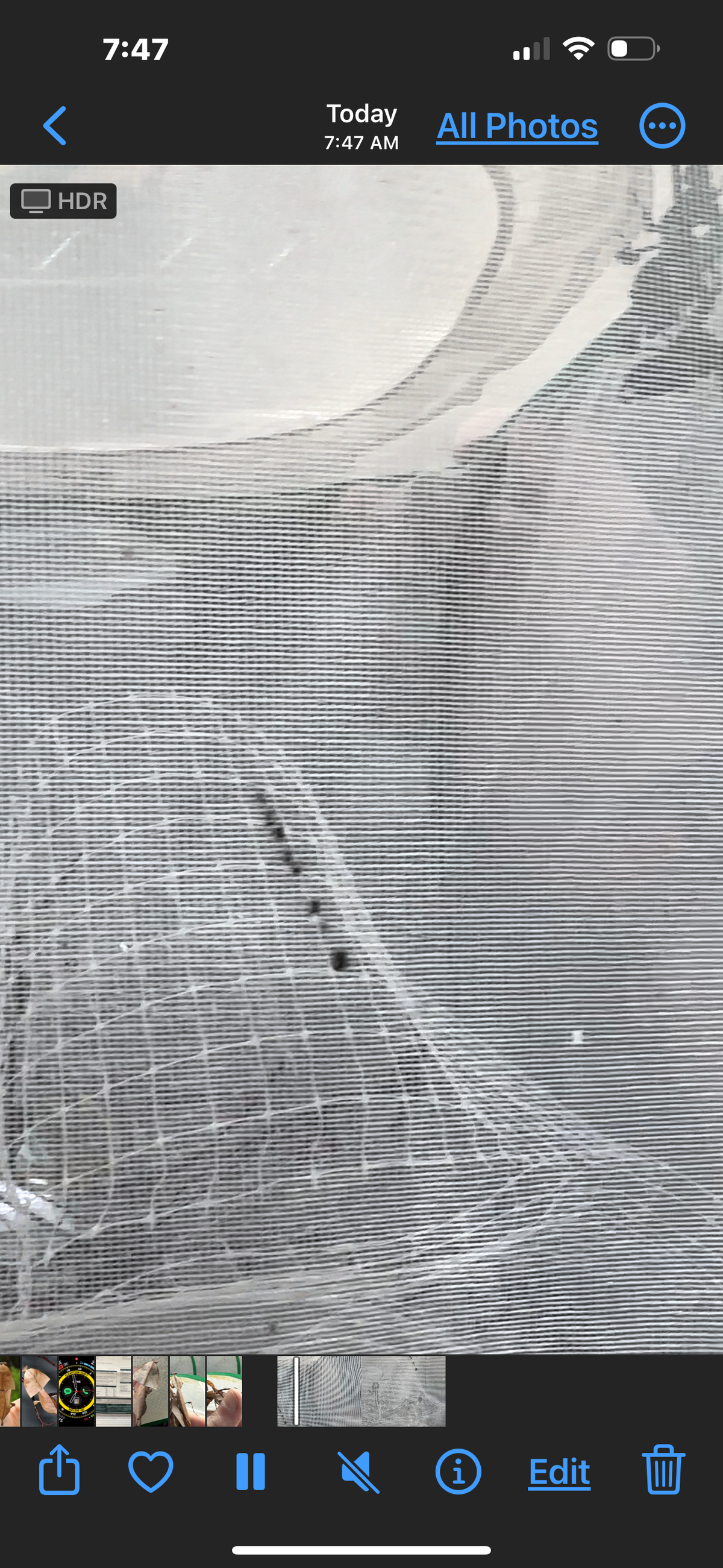 Canopy mesh - USMANTIS