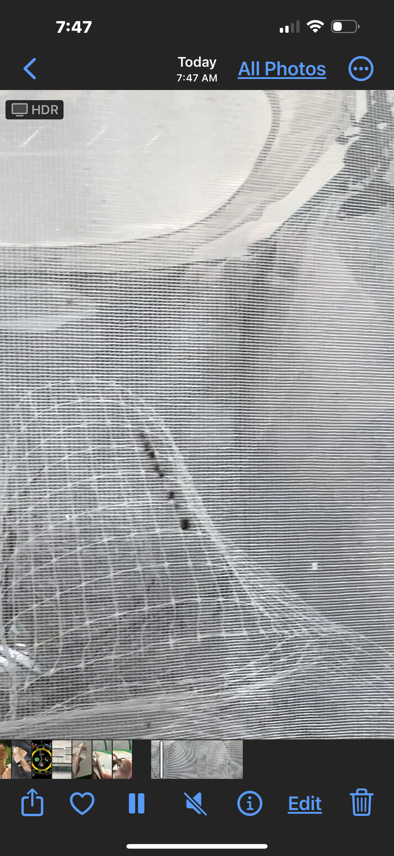 Canopy mesh - USMANTIS