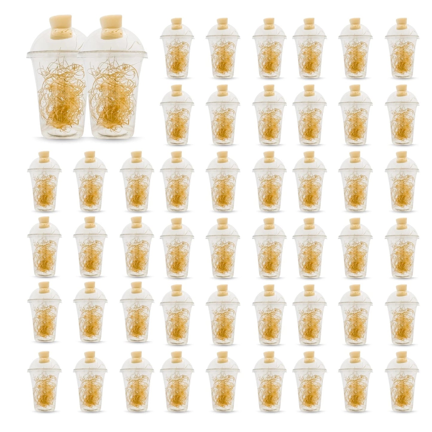 Hatching Cups