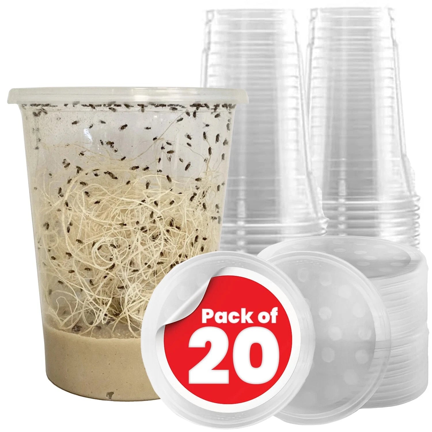 Fruit Fly Cups