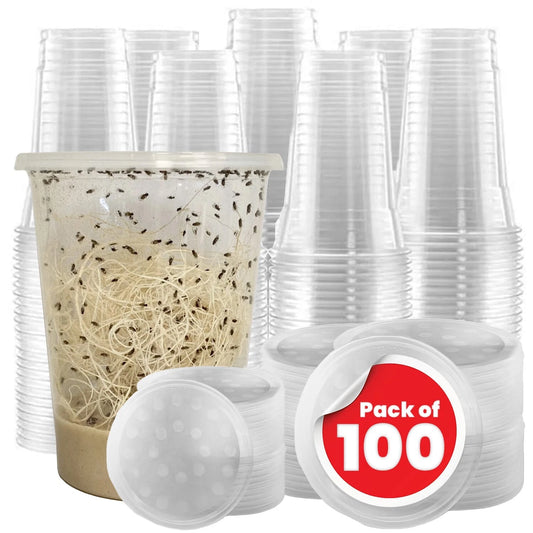 Fruit Fly Cups