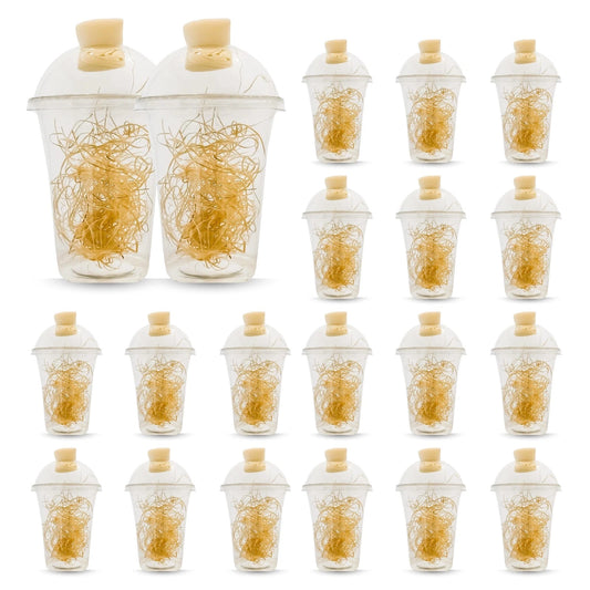 Hatching Cups