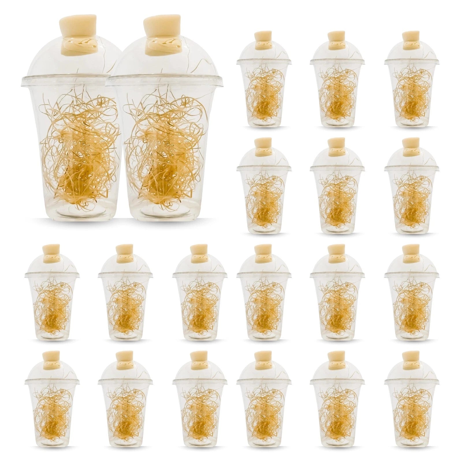 Hatching Cups