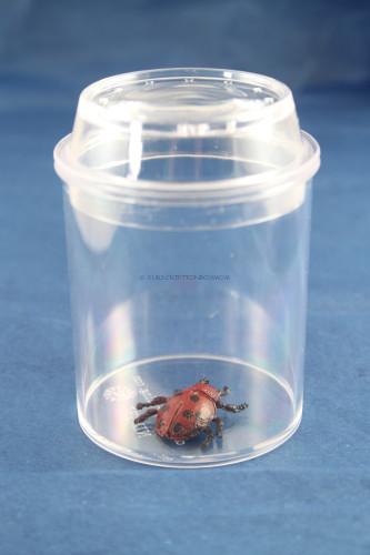 Magnifying insect jars with lids. Acrylic containers 31/2" tall and 21/2" wide vented.,  - USMantis.com
