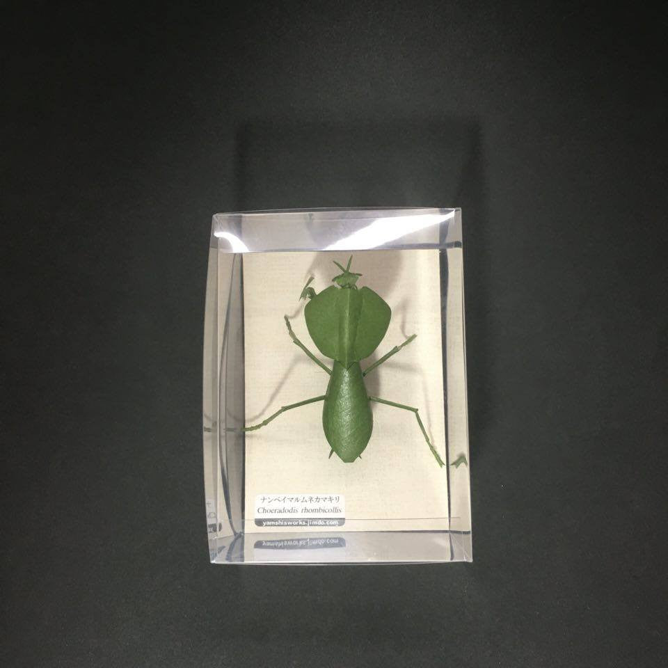 Paper insects - USMANTIS