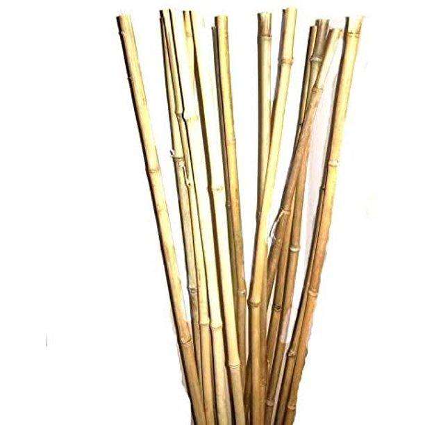 Bamboo Twigs Branches natural grown by us in the USA. Organic - USMANTIS